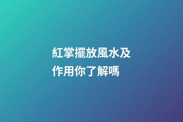 紅掌擺放風水及作用你了解嗎