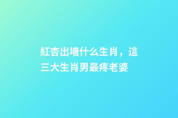 紅杏出墻什么生肖，這三大生肖男最疼老婆-第1張-觀點-玄機派