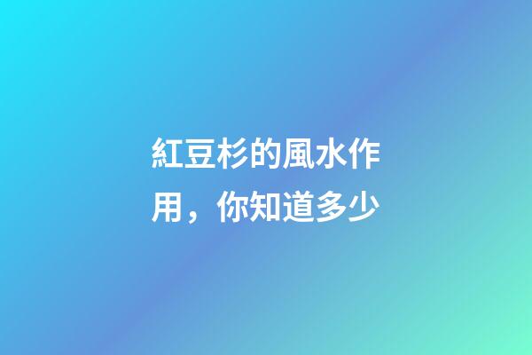 紅豆杉的風水作用，你知道多少