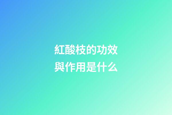 紅酸枝的功效與作用是什么