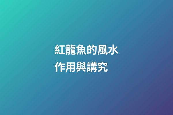 紅龍魚的風水作用與講究