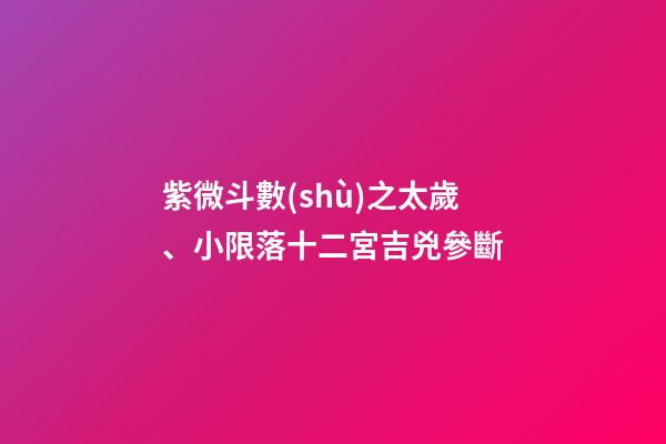 紫微斗數(shù)之太歲、小限落十二宮吉兇參斷