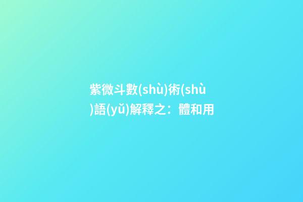 紫微斗數(shù)術(shù)語(yǔ)解釋之：體和用
