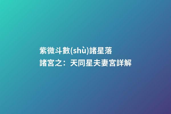 紫微斗數(shù)諸星落諸宮之：天同星夫妻宮詳解