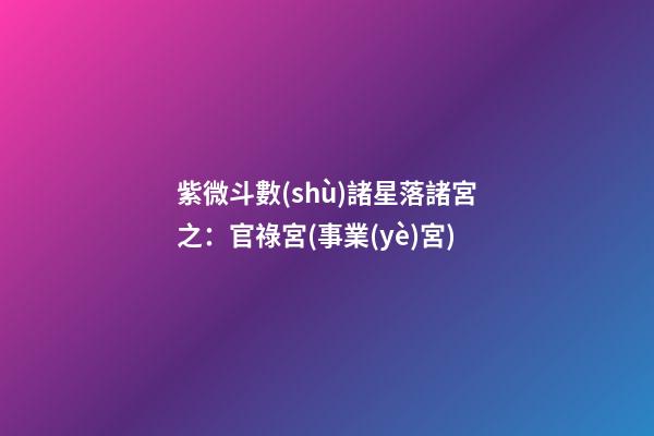 紫微斗數(shù)諸星落諸宮之：官祿宮(事業(yè)宮)