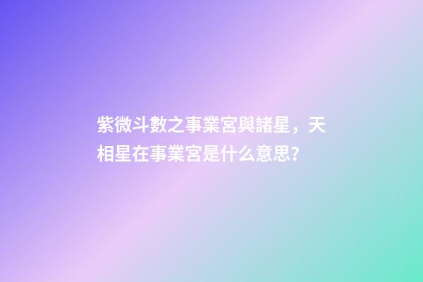 紫微斗數之事業宮與諸星，天相星在事業宮是什么意思？