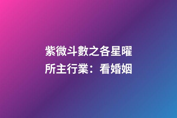 紫微斗數之各星曜所主行業：看婚姻