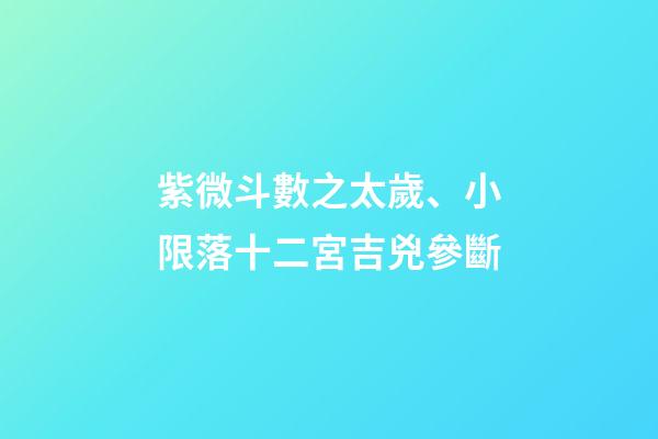 紫微斗數之太歲、小限落十二宮吉兇參斷