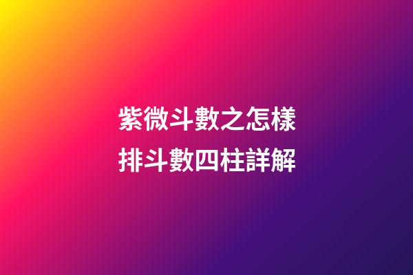 紫微斗數之怎樣排斗數四柱詳解