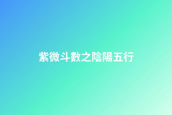 紫微斗數之陰陽五行