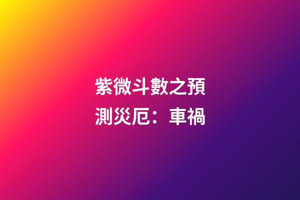 紫微斗數之預測災厄：車禍
