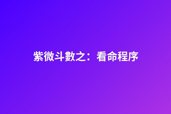 紫微斗數之：看命程序