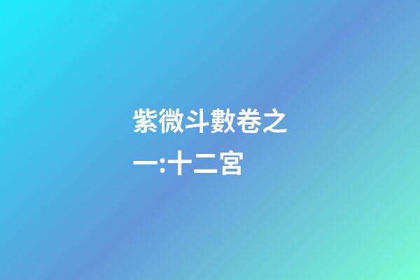 紫微斗數卷之一:十二宮