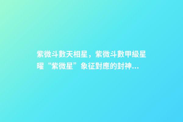 紫微斗數天相星，紫微斗數甲級星曜“紫微星”象征對應的封神人物-第1張-觀點-玄機派