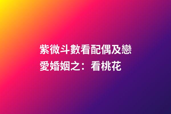 紫微斗數看配偶及戀愛婚姻之：看桃花