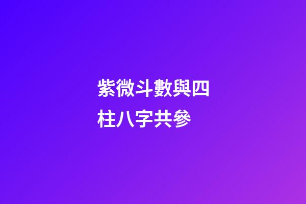 紫微斗數與四柱八字共參