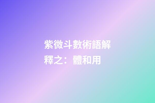紫微斗數術語解釋之：體和用