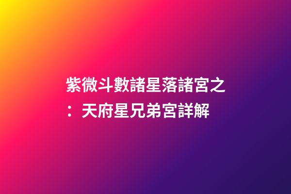 紫微斗數諸星落諸宮之：天府星兄弟宮詳解