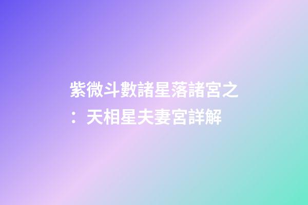 紫微斗數諸星落諸宮之：天相星夫妻宮詳解