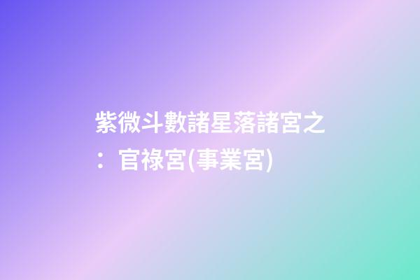 紫微斗數諸星落諸宮之：官祿宮(事業宮)