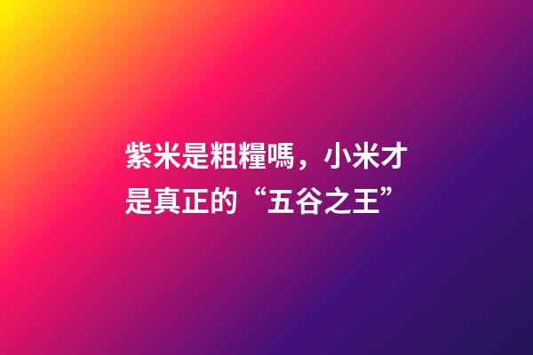 紫米是粗糧嗎，小米才是真正的“五谷之王”-第1張-觀點-玄機派