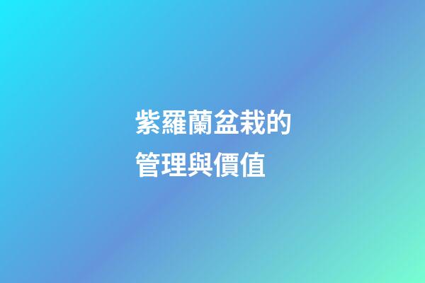 紫羅蘭盆栽的管理與價值