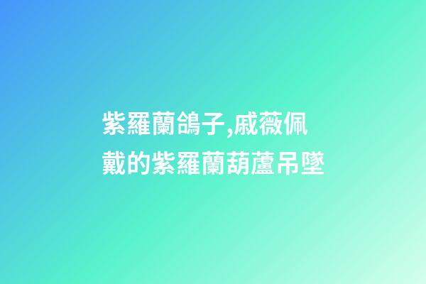 紫羅蘭鴿子,戚薇佩戴的紫羅蘭葫蘆吊墜-第1張-觀點-玄機派