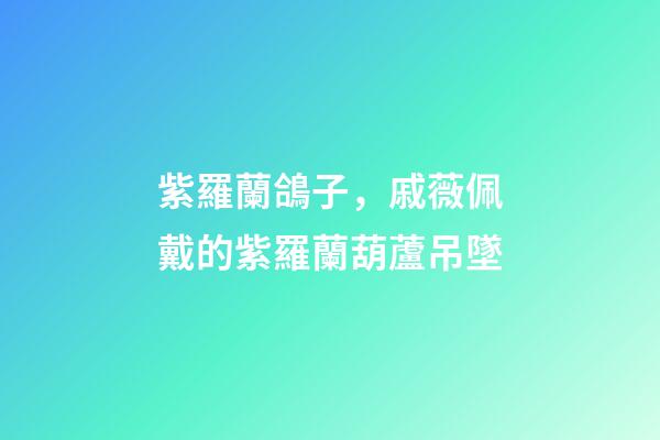 紫羅蘭鴿子，戚薇佩戴的紫羅蘭葫蘆吊墜-第1張-觀點-玄機派