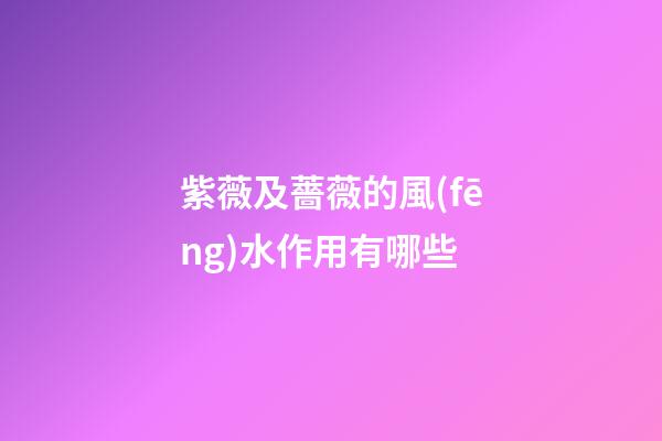 紫薇及薔薇的風(fēng)水作用有哪些?