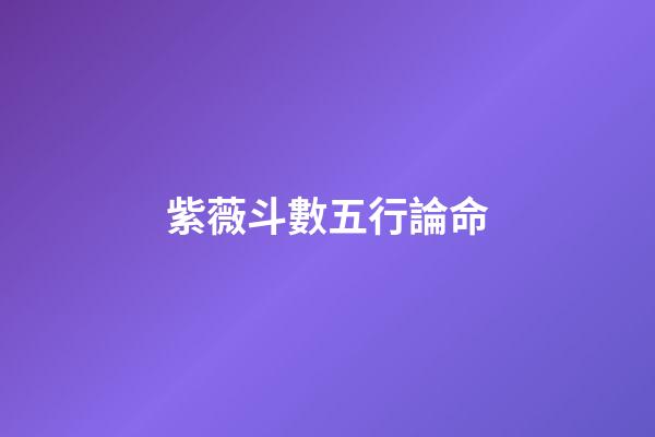 紫薇斗數五行論命