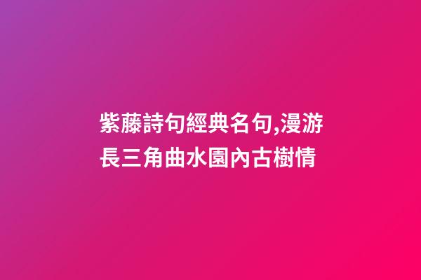 紫藤詩句經典名句,漫游長三角曲水園內古樹情-第1張-觀點-玄機派