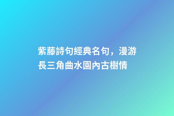 紫藤詩句經典名句，漫游長三角曲水園內古樹情-第1張-觀點-玄機派
