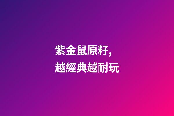 紫金鼠原籽,越經典越耐玩-第1張-觀點-玄機派
