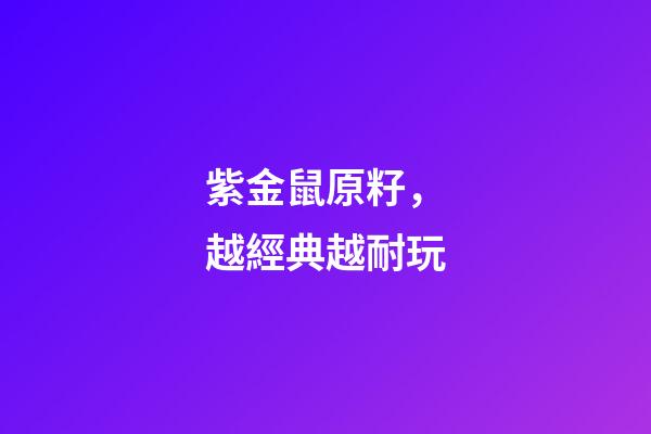 紫金鼠原籽，越經典越耐玩-第1張-觀點-玄機派