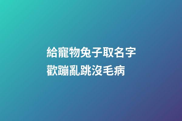 給寵物兔子取名字歡蹦亂跳沒毛病