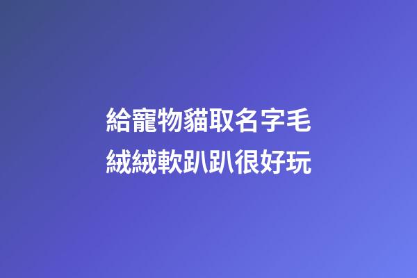 給寵物貓取名字毛絨絨軟趴趴很好玩