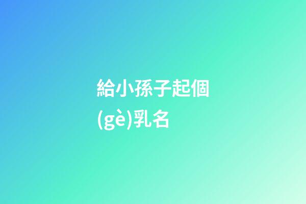 給小孫子起個(gè)乳名(給小孫子起名注意事項(xiàng))-第1張-寶寶起名-玄機(jī)派