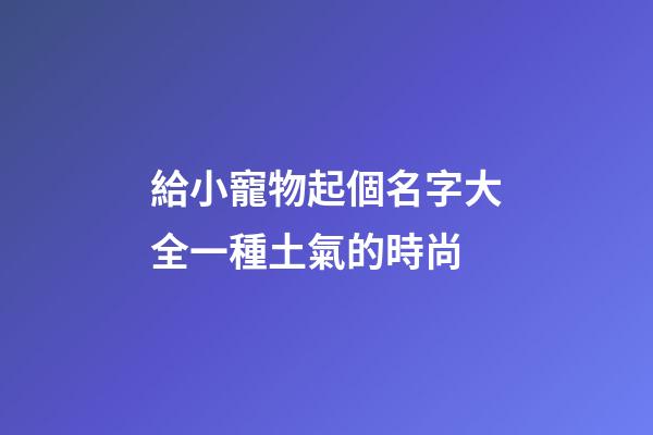 給小寵物起個名字大全一種土氣的時尚