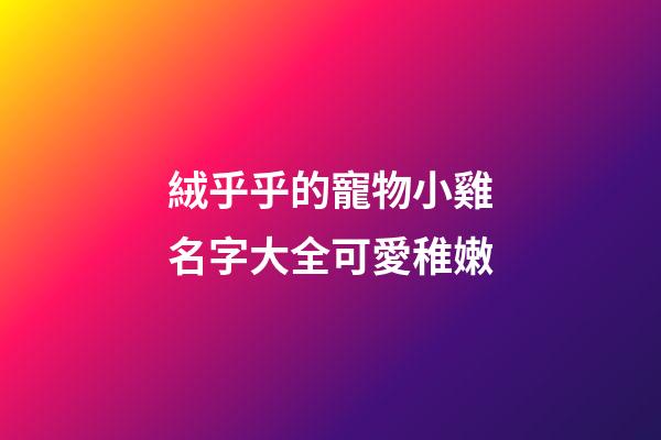 絨乎乎的寵物小雞名字大全可愛稚嫩