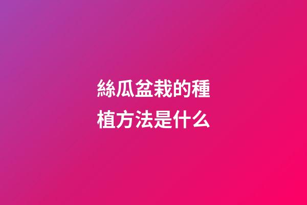 絲瓜盆栽的種植方法是什么