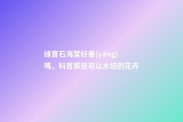 綠寶石海棠好養(yǎng)嗎，科普那些可以水培的花卉-第1張-觀點-玄機派