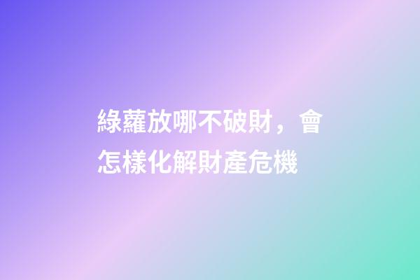 綠蘿放哪不破財，會怎樣化解財產危機