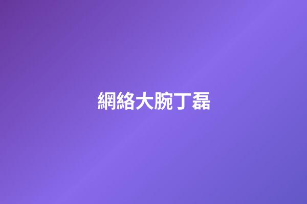 網絡大腕丁磊