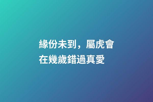 緣份未到，屬虎會在幾歲錯過真愛