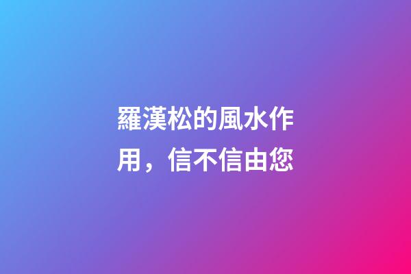 羅漢松的風水作用，信不信由您
