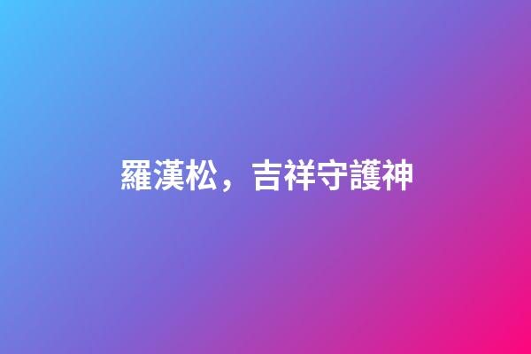 羅漢松，吉祥守護神