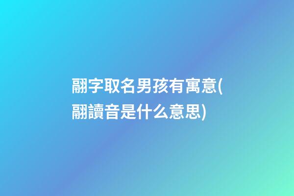翮字取名男孩有寓意(翮讀音是什么意思)