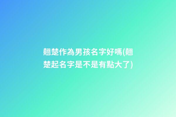 翹楚作為男孩名字好嗎(翹楚起名字是不是有點大了)