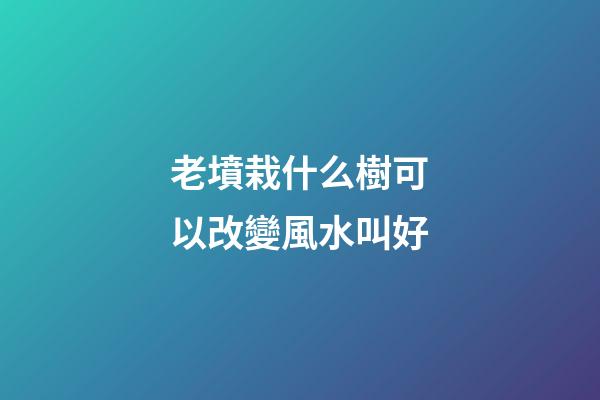 老墳栽什么樹可以改變風水叫好