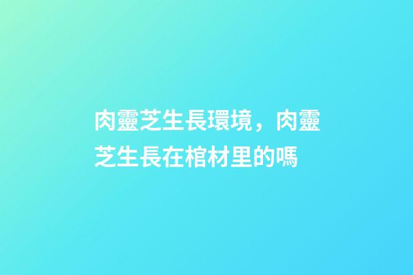 肉靈芝生長環境，肉靈芝生長在棺材里的嗎
